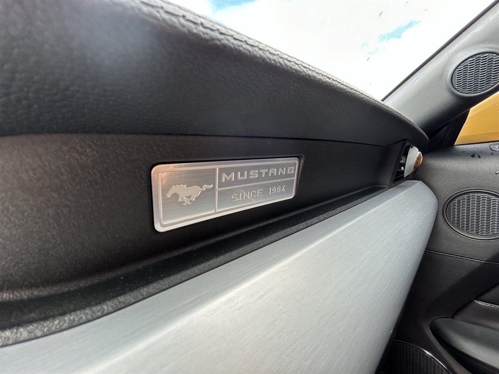 2015 Ford Mustang GT photo 17