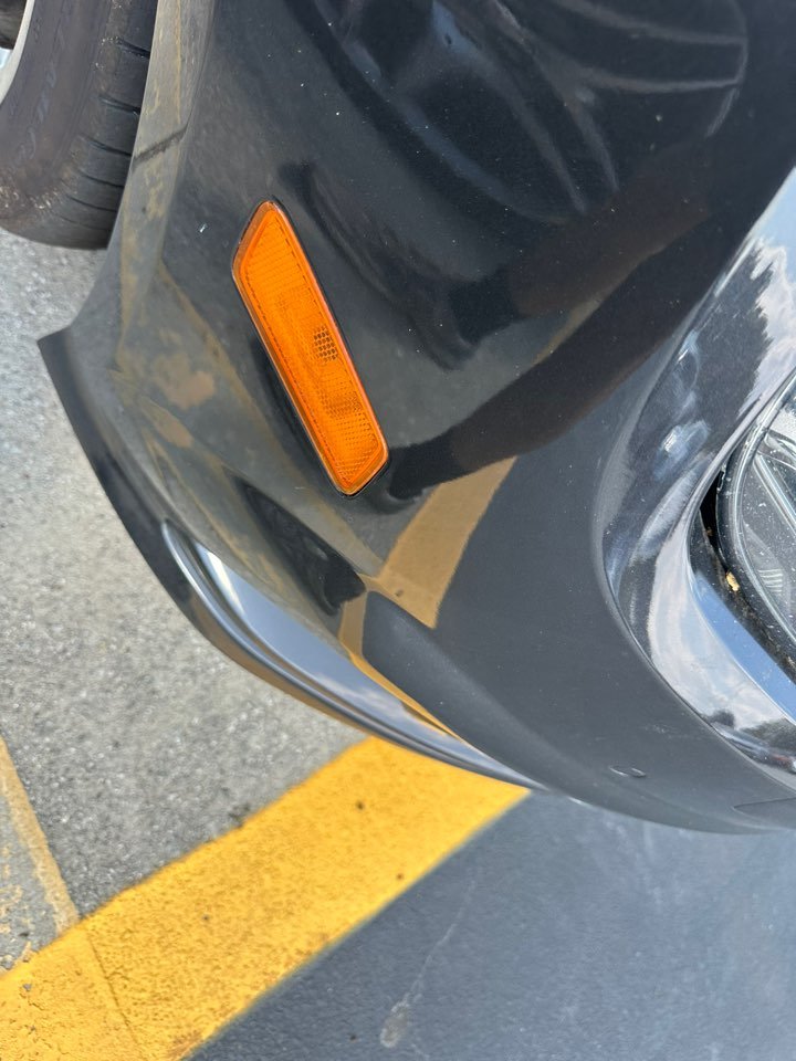 Ford Focus photo 17